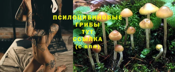 экстази Инта