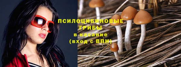 ГАЛЛЮЦИНОГЕННЫЕ ГРИБЫ Каменногорск