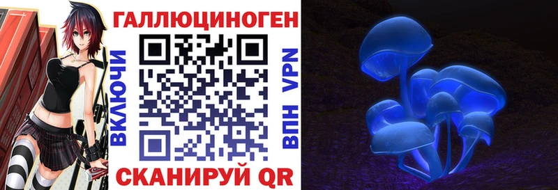 Купить где  Сысерть  Галлюциногенные грибы Psilocybine cubensis 
